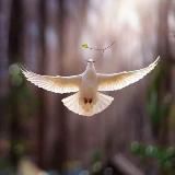 Du sombre à la lumiére