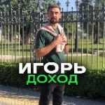 Заработок без вложений