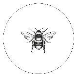 насекомость