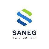 Saneg | Официальный канал