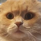 Марсель печатает…