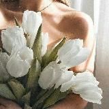 𝐹𝑟𝑎𝑠𝑒𝑠 𝑌𝑎𝑙𝑖