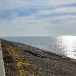 Хутор Ленина