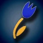 Українці в Нідерландах – Oekraïners in Nederland