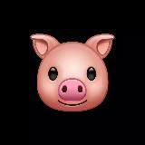 Асхаб Тамаев