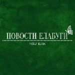 Новая Кама | Новости Елабуги