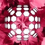 AURORA – мы делаем мир красивым!