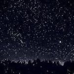 Ночные самоцветы