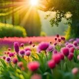 Волшебство повсюду…