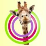 Бухгалтерия. 1С. Вопросы и ответы.