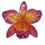 Фейский Календарь