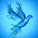 Résistance. L’essentiel de l’information.