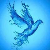 Résistance. L’essentiel de l’information.