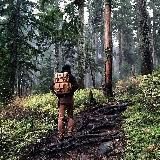 Solare Resonanzphänomene, Schwarze Sonne, Spiritualität, Naturgeist, Universelle Weisheit, 432Hz S