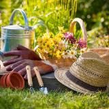 Поехали! – ВЫГОДНО