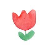 PROЦВЕТНИК с Лолитой Майер