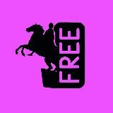 🆓 Бесплатный Петербург