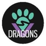 Furry Valley Dragons