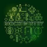 “ВвМ” КРОК_1 БХ