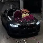 𝐦𝐚𝐫𝐦𝐮𝐫𝐫