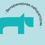 Vet Union для врачей