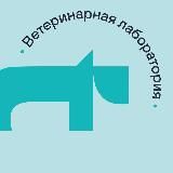Vet Union для врачей