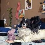 это всё лирика