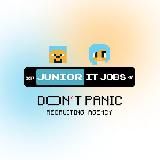 Don’t Panic Junior IT Jobs