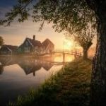 Интересные факты