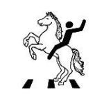 Делай Томск лучше!