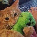 Психология Вкуса