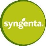 Сингента – семена овощных культур