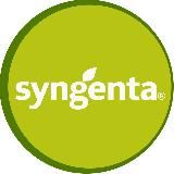 Сингента – семена овощных культур