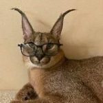 Поговоримо про БДСМ