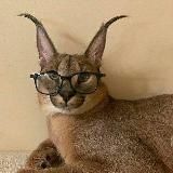 Поговоримо про БДСМ