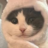 какая-то хурма