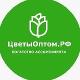 ЦветыОптом.РФ