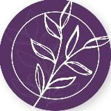 Школа Сада Ландшафтный дизайн