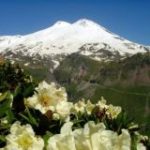 07 ЭЛЬБРУС ЧАТ