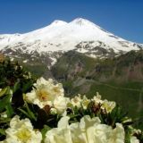 07 ЭЛЬБРУС ЧАТ