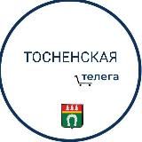Тосно|Тосненская Телега
