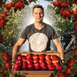 Дмитрий Парфёнов | Сады | Ягоды | Саженцы