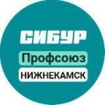 Профсоюз Нижнекамскнефтехим