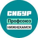 Профсоюз Нижнекамскнефтехим