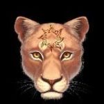 Sun above my head || Кеметизм