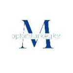 Мужской Люкс Inst: ernar_optom