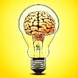 Знайка | Факты обо всём