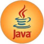 Java Geek