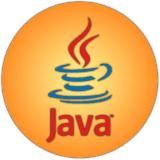 Java Geek
