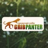 Gribpanter™ – Интернет магазин мухоморов и этноботаники.